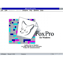 Microsoft FoxPro V2.6 Win & Dos Full