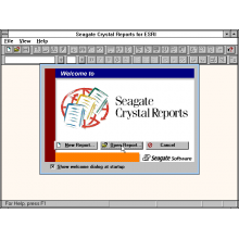 Seagate Crystal Reports 9.0 Professional Edition