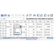 SPSS v11.01 Full English