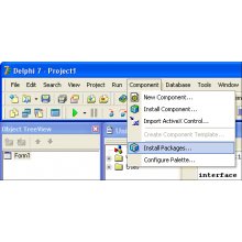 Borland Delphi 7.0 Components
