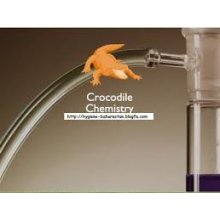 Crocodile Chemistry v504