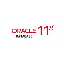 Oracle Database 11g Release 1 for Microsoft Windows (32-bit)