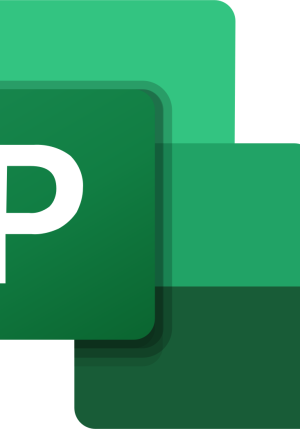 Microsoft Project 11