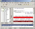 DzSoft Perl Editor V5.1 Full
