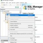 EMS MySQL Manager Professional V1.6.5 Full