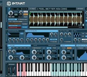 Native Instruments Intakt 1.03