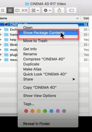 Cinema 4D Release 8 + Mocca Plugin Fix