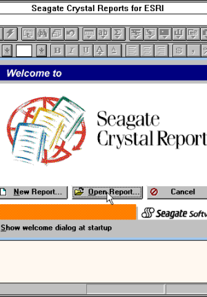 Seagate Crystal Reports 9.0 Professional Edition