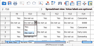 SPSS v11.01 Full English