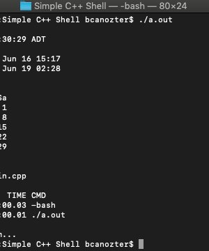 Spetnik's C++ Compiler Shell