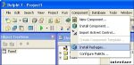 Borland Delphi 7.0 Components