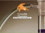 Crocodile Chemistry v504