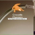 Crocodile Chemistry v504