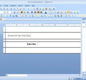 Crystal Report V 10 (Enterprise)