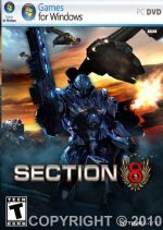 section 8