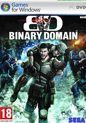 binary domain