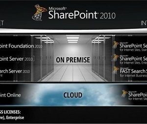 designing and developing share point 2010
