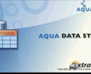 AquaFold Aqua Data Studio 10.0 Windows