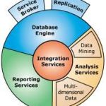 microsoft Report Viewer 2008