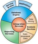 microsoft Report Viewer 2008