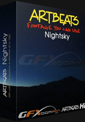 Artbeats night Sky