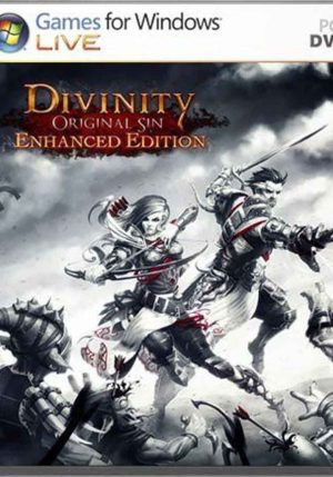 Divinity original sin enhanced edition