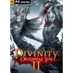 Divinity original sin 2