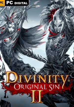 Divinity original sin 2