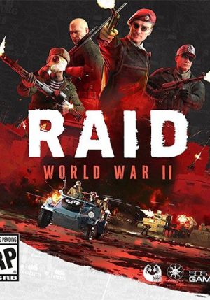 RAID world war 2