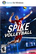 Spike Volleyball