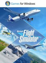 Microsoft flight simulator 2020
