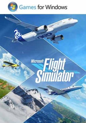 Microsoft flight simulator 2020