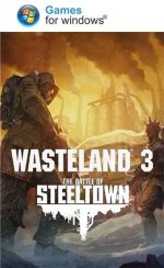 Wasteland 3