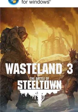 Wasteland 3
