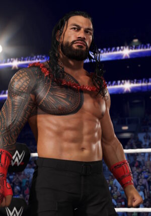 w2k25 screenshot